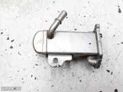 Abgaskühler Ford Kuga () V29004027