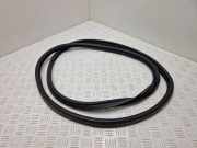 Dichtungsgummi am Ende (Gabel) RENAULT GRAND SCÉNIC IV (R9_) 1.5 dCi 110