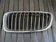 Vorderer oberer Gitter BMW 3 (F30, F80) 330 e 7294815 7294819
