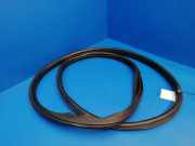 Türdichtungsgummi vorne links LAND ROVER DISCOVERY II (L318) 3.0 D 4x4
