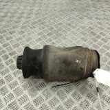 Stoßdämpfer links hinten Mercedes-Benz GL-Klasse (X166) A1663200325