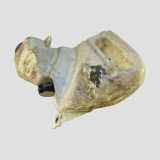 Fensterwaschtank AUDI A6 Allroad (4BH, C5) 2.5 TDI quattro 4B0955453A