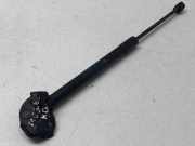 Heckklappe Gasdruckfeder links RENAULT MEGANE III Hatchback (BZ0_) 1.5 dCi (BZ09, BZ0D) 904510001R
