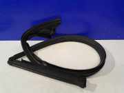 Türgummi links vorne Jaguar F-Type Coupe (QQ6) 152CZ03