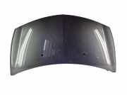 Motorabdeckung Renault Clio III (BR0/1, CR0/1)