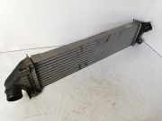 Ladeluftkühler Ford Kuga () 8V619L440AC