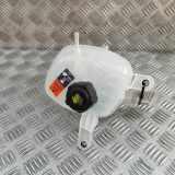 Ausgleichsbehälter NISSAN QASHQAI III (J12) 1.3 DIG-T All-wheel Drive 21710-6RN0A