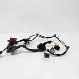 Kabel der vorderen linken Tür