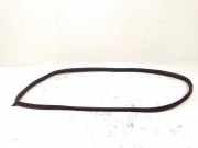 Türgummi rechts vorne Mercedes-Benz CLS (C218) E04701