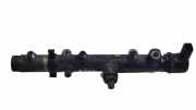 KRAFTSTOFFVERTEILER EINSPRITZLEISTE VERTEILERROHR AUDI A6 (4F2, C6) 3.0 TDI quattro 059130090J
