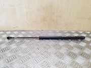 Heckklappe Gasdruckfeder links TOYOTA COROLLA Verso (_E12_) 1.6 VVT-i (ZZE121_) 6896002030