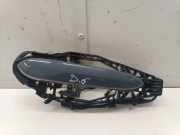 Türgriff rechts hinten BMW 1er (F40) 9881778