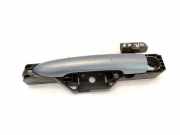 Türaußengriff hinten links RENAULT ESPACE IV (JK0/1_) 2.0 Turbo (JK0A, JK0B, JK0N) TED47 8200008430