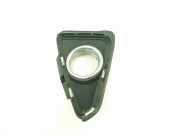 Nebelscheinwerferverkleidung TOYOTA RAV 4 IV (_A4_) 2.0 4WD (ZSA44_) 5203042050 5203042070