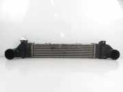 Ladeluftkühler MERCEDES-BENZ S (W220) S 320 CDI (220.026, 220.126) 8ML376723041