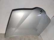 Motorhaube RENAULT LAGUNA II (BG0/1_) 1.6 16V (BG0A, BG0L)