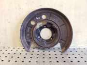 Spritzblech für Bremsscheibe Fiat Ducato Pritsche (290)