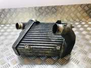 Ladeluftkühler Audi A8 (4E) 4E0146306