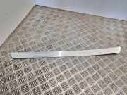 Zierleiste Opel Adam () 13293907