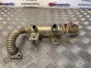 Abgaskühler Ford Focus III (DYB) 4M5Q9F464BD