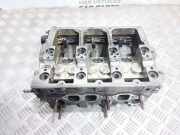 Motorkopf SEAT IBIZA III (6L1) 1.4 TDI 045103373H V420