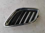 Gitter vorne unten SAAB 9-5 Estate (YS3E) 2.0 t 5337662