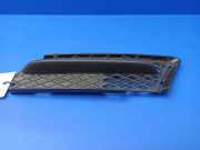Gitter vorne unten BMW 3 (E90) 320 d 22944911