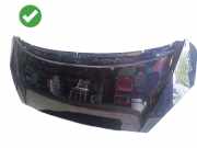 Motorhaube Peugeot 1007 ()