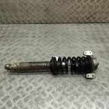 Stoßdämpfersatz Vorderachse Ferrari California () 462400005095