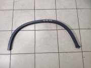 Blende Kotflügel links hinten BMW X6 (E71, E72) 7176330