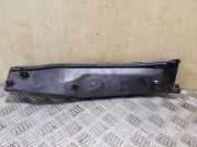 Grill Windlauf BMW 3er Touring (E91) 64316925974