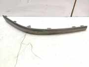 Stoßstangenzierleiste vorne links RENAULT LAGUNA II (BG0/1_) 1.9 dCi (BG08, BG0G) 000009685