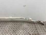 SRS Modul Dach links AUDI A8 D3 (4E2, 4E8) 4.2 FSI quattro