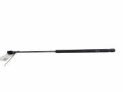 Heckklappe Gasdruckfeder links