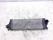 Ladeluftkühler RENAULT TRAFIC II Minibus / passenger (JL) 2.5 dCi 115 93854162 988650b