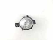 Nebelscheinwerfer vorne rechts BMW X5 (E70) 3.0 sd 7184318 63177184318
