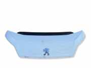 Motorhaube PEUGEOT BOXER Furgon 2.2 BlueHDi 140