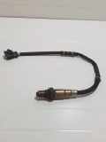 Sauerstoffsensor (Lambdasensor) VW GOLF PLUS (5M1, 521) 1.4 16V 258006593594 585031