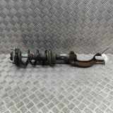 Stoßdämpfer vorne links AUDI A7 Sportback (4GA, 4GF) 3.0 TDI quattro 4G8413031F