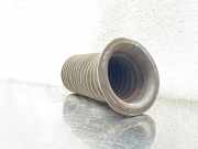 Absorber Cylinder Protection OPEL SIGNUM 2.8 V6 Turbo 004942120030