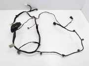 Kabel der vorderen linken Tür HYUNDAI ix35 (LM, EL, ELH) 1.7 CRDi 916112Y010