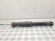 Stoßdämpfer hinten rechts