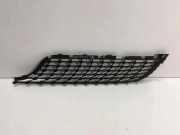 Gitter vorne unten MERCEDES-BENZ A (W177) A 200 (177.087) A1778880600