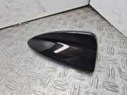 Antenneverkleidung BMW 5 (F10) 530 d xDrive 018639