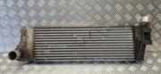 Ladeluftkühler RENAULT GRAND SCÉNIC III (JZ0/1_) 1.5 dCi 8200115540