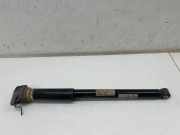 Stoßdämpfer hinten links PORSCHE Taycan Cross Turismo (Y1B) 4S 9J0513035A