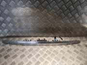 Kennzeichenbeleuchtung Verkleidung MERCEDES-BENZ B (W246, W242) B 180 CDI (246.200) 2467400793 A2467400793