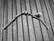 Bremsschlauch links vorne Volvo S90 II (234) 31678088