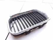 Vorderer oberer Gitter