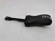 Türanschlag hinten links